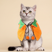 Gray tabby cat wearing the orange side of the cape with its green leaf collar