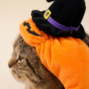 Close-up of the bonnet resting against a cat's cheek fur, showing the witch hat detail