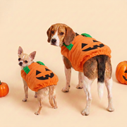 A chihuahua and a beagle side by side, both in The Plumpkin costume, showing the size range